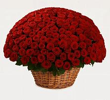 Премиум букет из: Розы в Чайковском